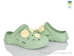 Golden Lion 411 фісташки фото