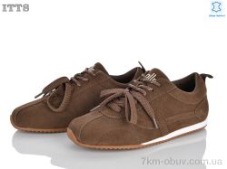 ITTS SV260-35 фото