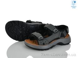 KIMBOO T65-2D фото