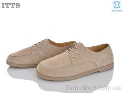 ITTS F813-6 фото