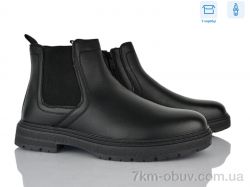 Nasite M1060-2C фото