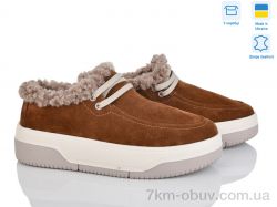 Stella EV18 кор.з. фото