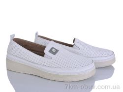 Lion-Lu 2024-12 фото