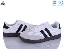 STILLI Group L2450-4 шкіра фото