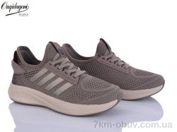 Dageni B2526-17 фото