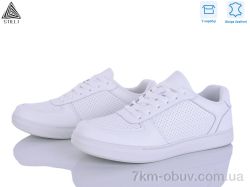 STILLI Group L170-1 шкіра фото