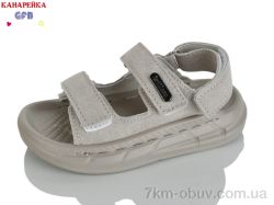 GFB-Канарейка T63-6 фото