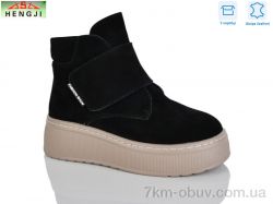 HENGJI-ELENA M308-1 фото