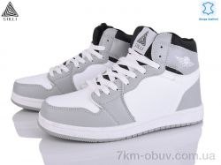 STILLI Group HB480-8 шкіра піна фото