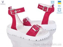 Viscala 23811 мал.з. фото