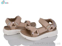 BBT L851-2-10 фото