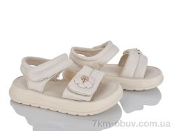 KIMBOO XD607-2M фото