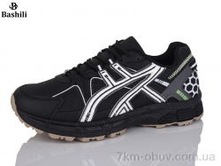 Башили Z6501-251 фото