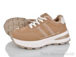 Baolikang G25-3 фото