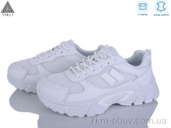 STILLI Group NK150-1 шкіра фото