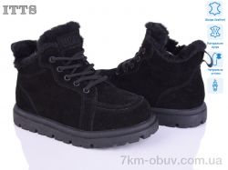 ITTS N050-1 фото