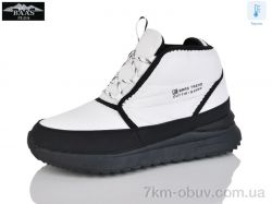 Baas B5248-4C термо фото