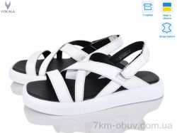 Viscala 23938 б.ш. фото