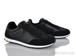 Loretta K546 фото