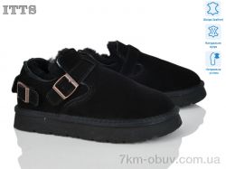 ITTS Q302-1 фото