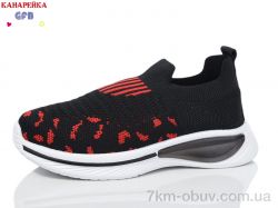 GFB-Канарейка X8031-2 фото