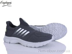 Dageni T99352-3 фото