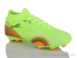 ASHIGULI 508V фото