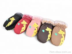 PAIDI 507 плащівка mix фото