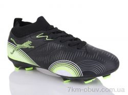 ASHIGULI 508A фото