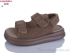 GFB-Канарейка S710-6 фото