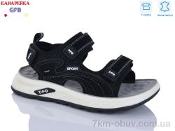 GFB-Канарейка R821-1 фото