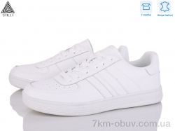 STILLI Group L10-1 шкіра фото