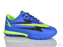 ASHIGULI C16-3 (31-36) фото