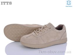ITTS CK19-5 фото