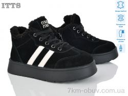 ITTS DD7633-1 фото