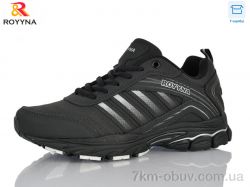 ROYYNA 114ДП-2 фото