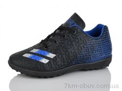 ASHIGULI C11-1 фото