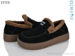 ITTS L8301-2 фото