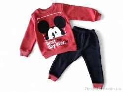 Kids-modnik 484 цегляний  реглан-штани фото