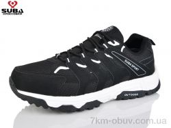 SUBA A6620-2 фото