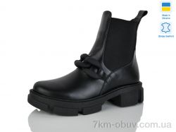 Carolina AP149-1 фото