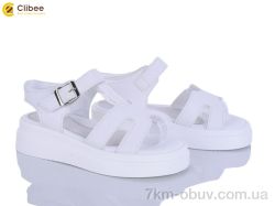 Clibee ZC2280-3 фото