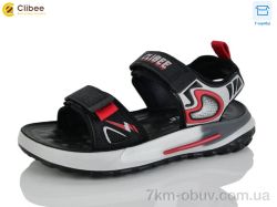 Clibee-Apawwa ZC2311-1 фото