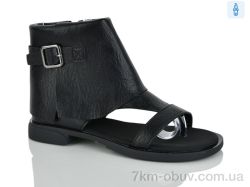 Loretta L073 фото