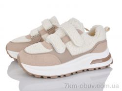 Baolikang G22-3 фото