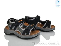 KIMBOO T65-2H фото