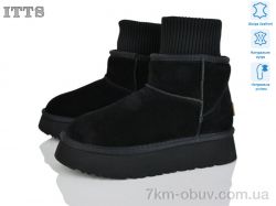 ITTS F249-1 фото