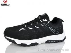 SUBA A6620-2 фото