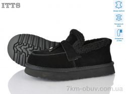 ITTS Q301-1 фото