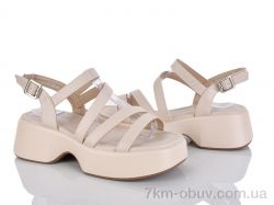 Loretta E739-6 фото